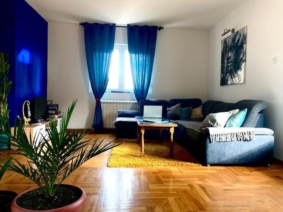 Apartmán Amazing Memories Bělehrad Exteriér fotografie