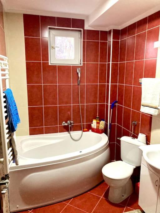 Apartmán Amazing Memories Bělehrad Exteriér fotografie